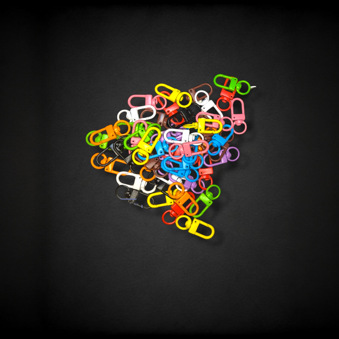 Personalized Keychain / Bag Tag